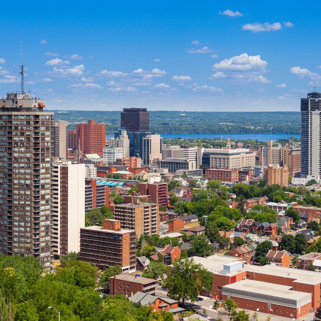 Summer in Hamilton