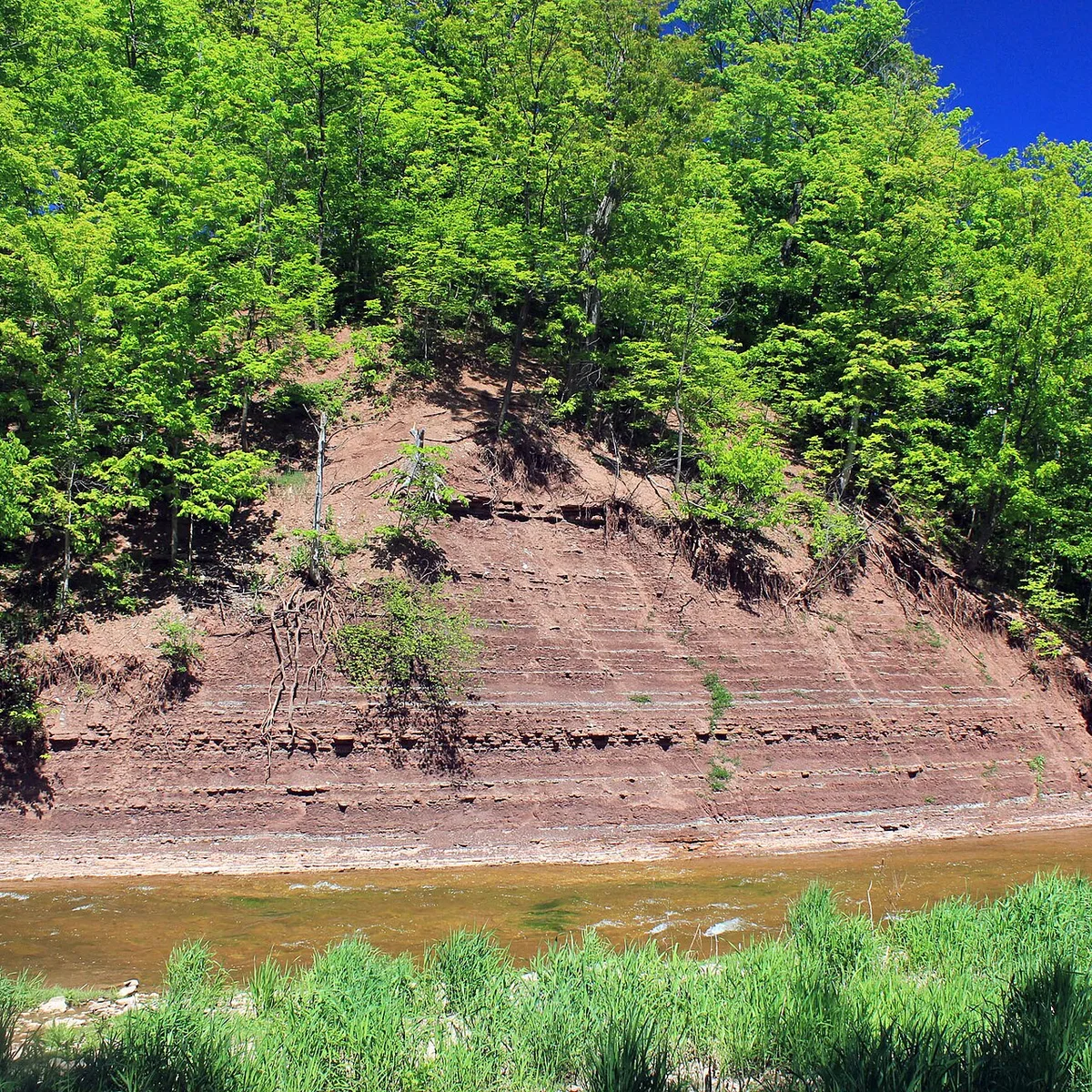 Wooded creek valley and exposed shoreline at Bronte Creek Provincial Park