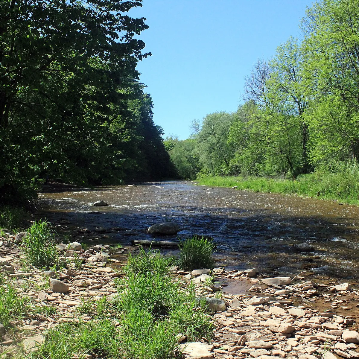 Bronte Creek flowing through Bronte Creek Provincial Park