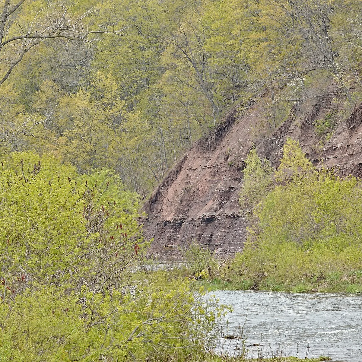 Sixteen Mile Creek and wooded escarpment in Oakville, Ontario