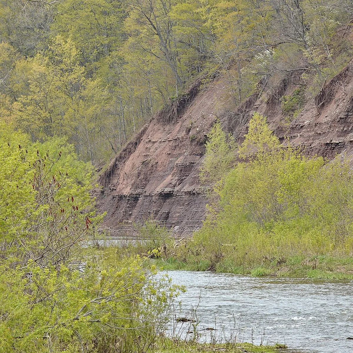 Wooded valley and Sixteen Mile Creek in Oakville