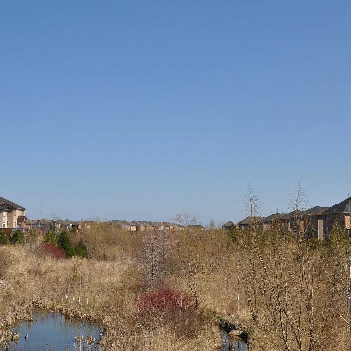 Natural area and homes near Fourteen Mile Creek in northwest Oakville